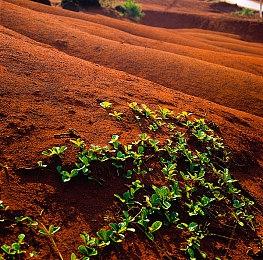 《合金装备3：重制版》将搭载在线对战模式 今秋上线