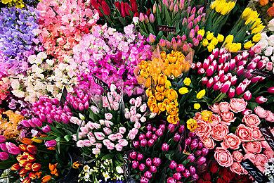 《绝地潜兵2》厂商介绍登录困难原因：问题很明显